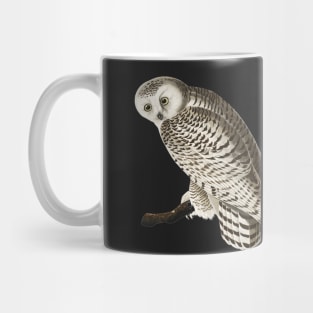 Snowy White Owl | Night owl design Mug